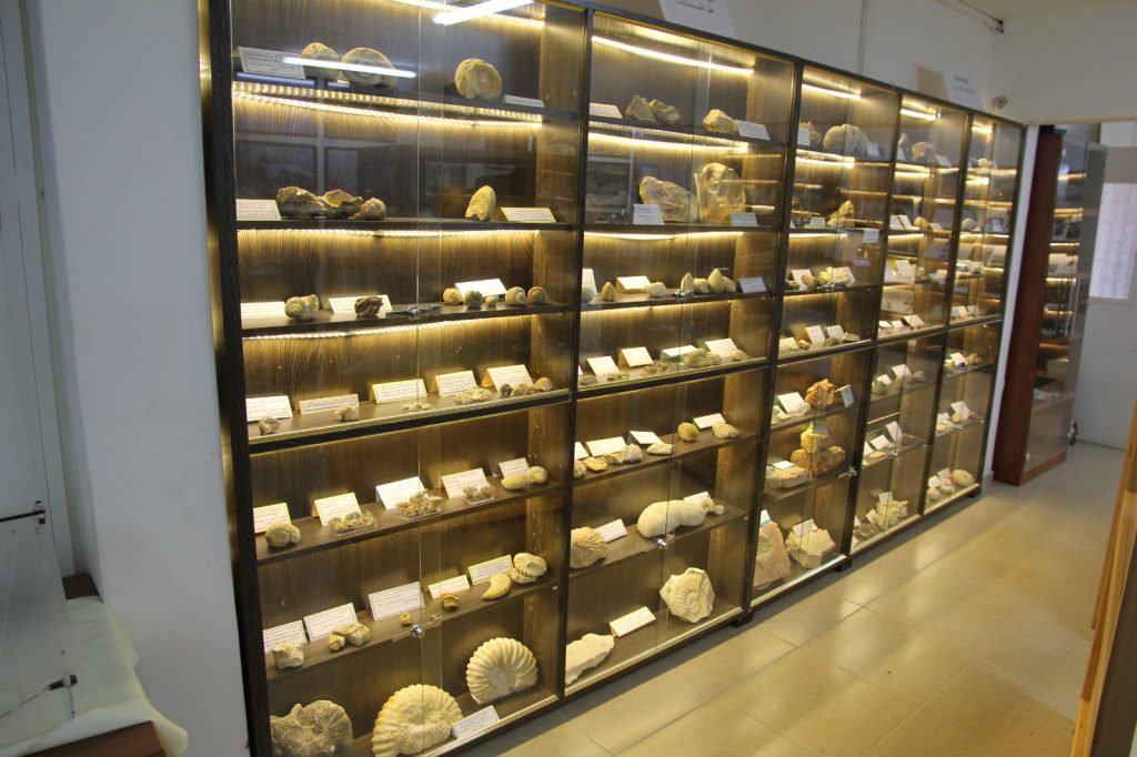 Museo Palestino de Historia Natural (PMNH)