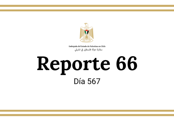 Reporte 66