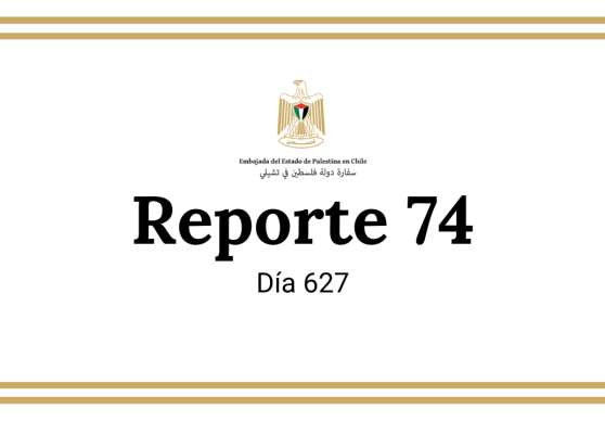 Reporte 74