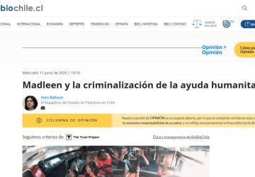 opinion_BioBio_11jun25