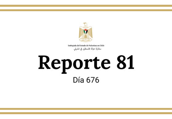 Reporte 81