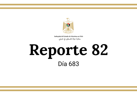 Reporte 82