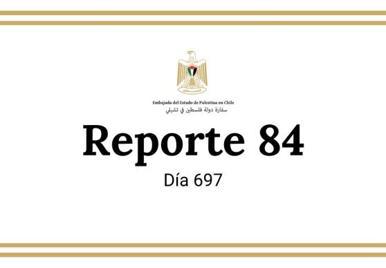 Reporte 84