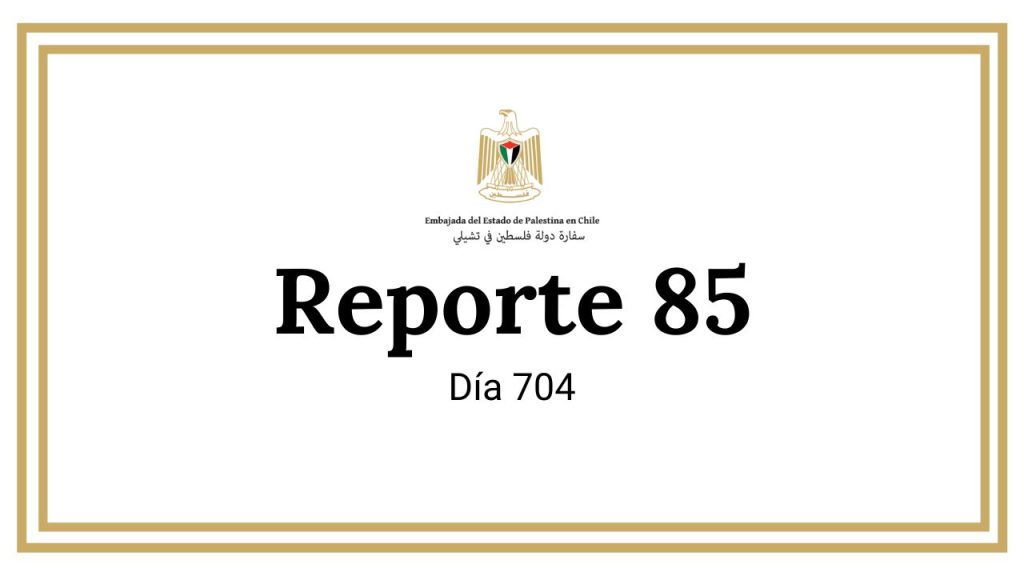 Reporte 85