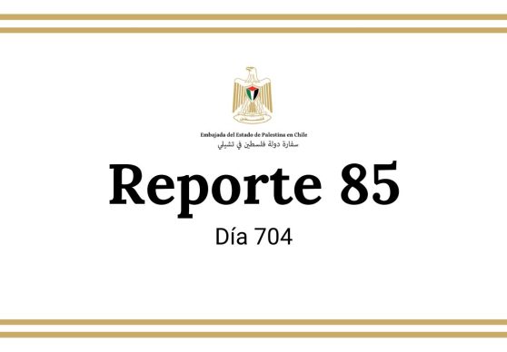 Reporte 85