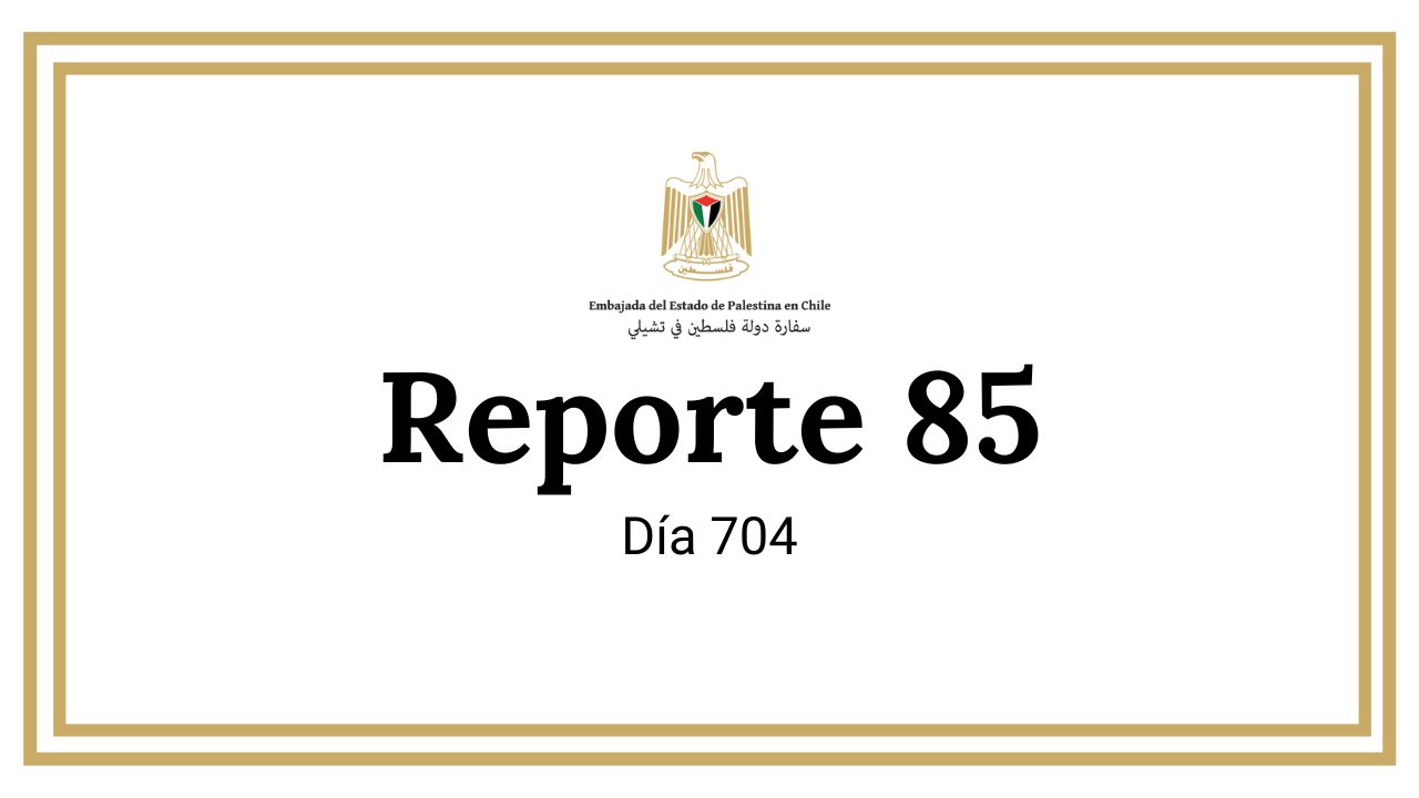 Reporte 85