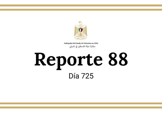 Reporte 87