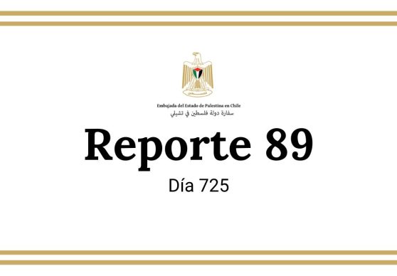 Reporte 87 (1)