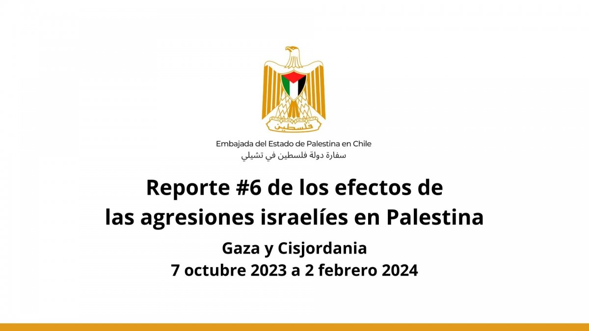 Reporte #6 de los efectos de las agresiones israelíes en Palestina