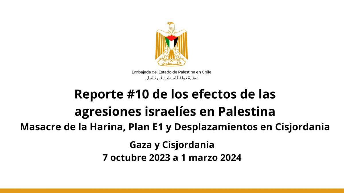 Reporte # 10 de los efectos de las agresiones israelíes en Palestina