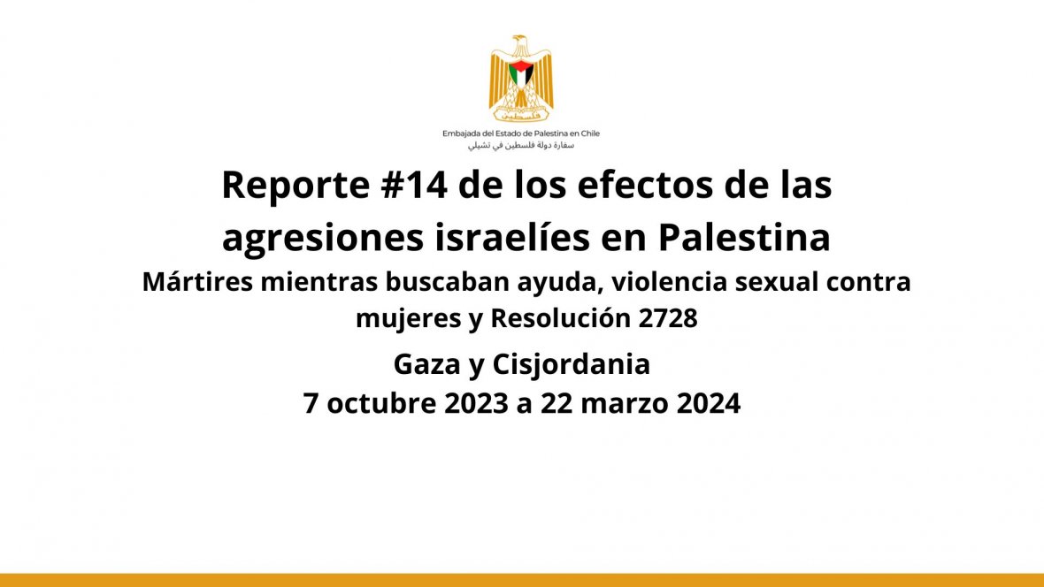 Reporte # 14 – Efectos de las agresiones israelíes en Palestina