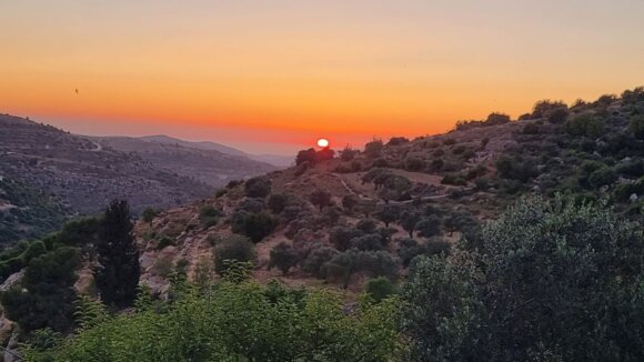 Colonos israelíes desalojan a palestinos en Al-Makhrour